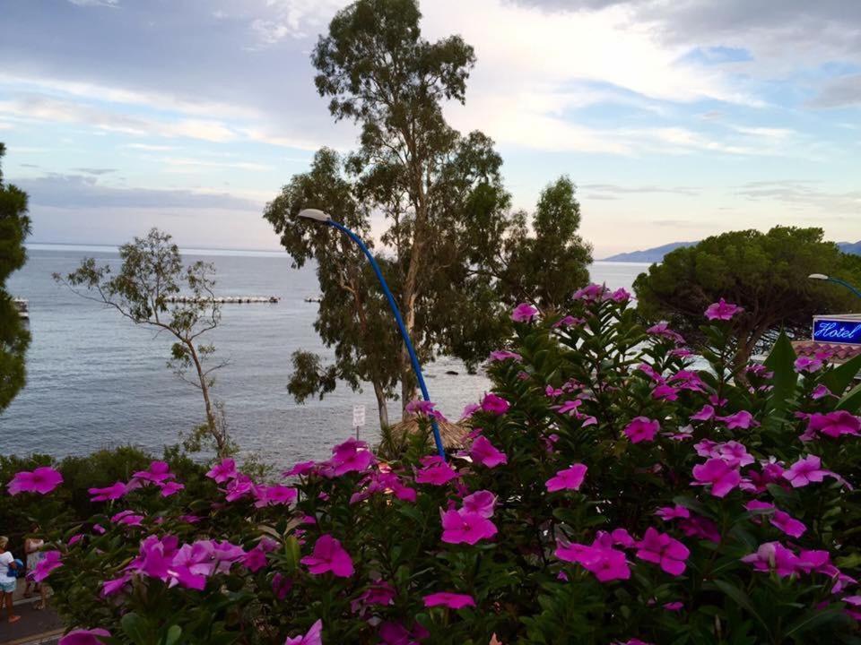 Petit Avec Classe Sanremo Exterior foto